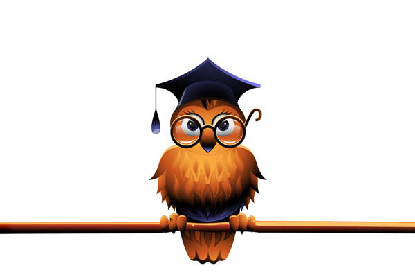 Creative Writing Exercise: The Teacher Learns