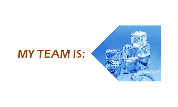 Team Building Exercise: My Team Is…