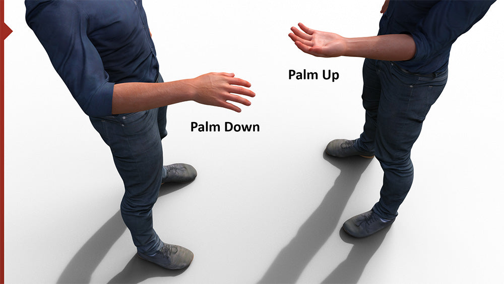 Body Language Palm Up Down